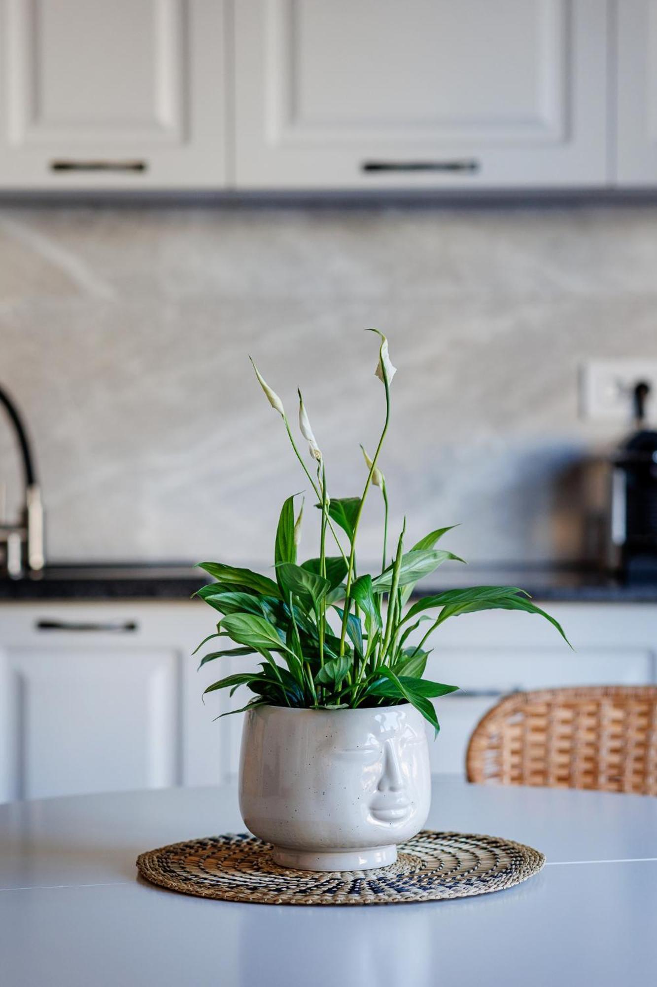 The Corner Luxe Apartment Bucarest Esterno foto